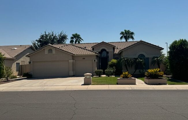 4 Bedroom Oasis in Gilbert