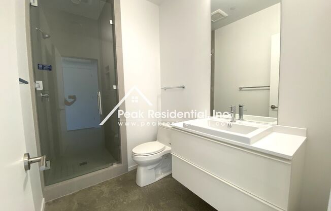 Studio, 1 bath, $1,295, Unit #101 Lower Unit