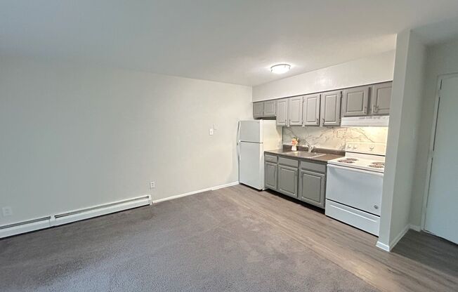 1 bed, 1 bath, 500 sqft, $1,089, Unit A103