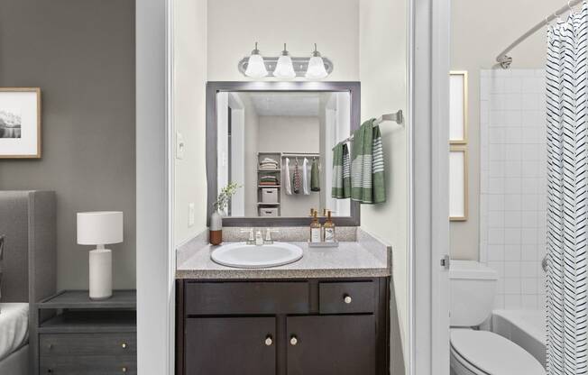 a bathroom with a sink and a mirror and a toilet