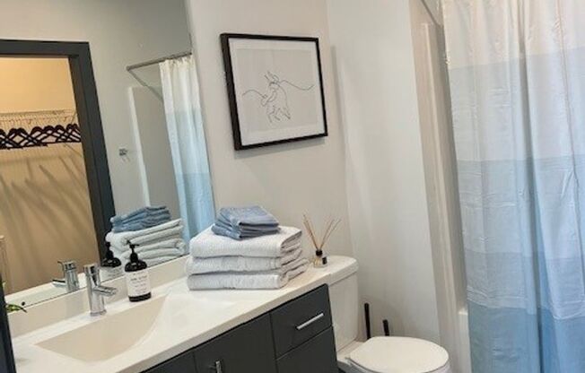 Studio, 1 bath, 400 sqft, $1,695, Unit 330 - Furnished