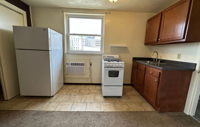 Fantastic Oakland Studio - Easy Walk to University of Pittsburgh! Call Today!