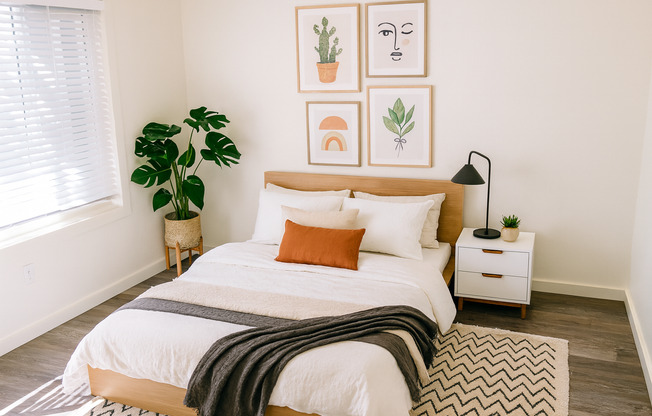 1 bed, 1 bath, 519 sqft, $1,295, Unit 42