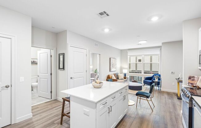 1 bed, 1 bath, 495 sqft, $1,849, Unit 115