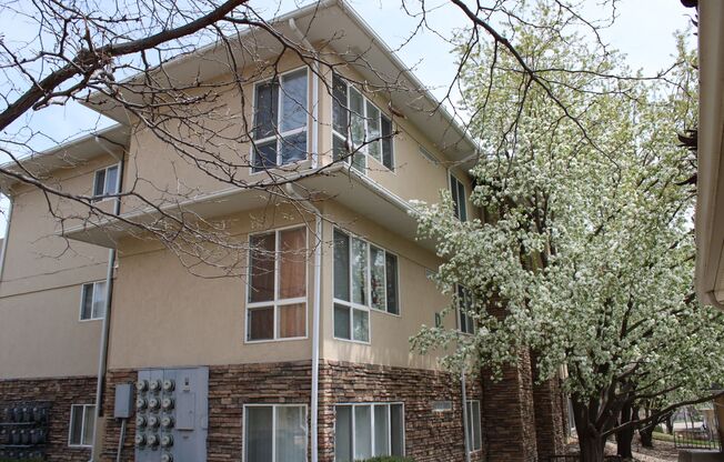 Charming Condo Oasis in Fort Collins