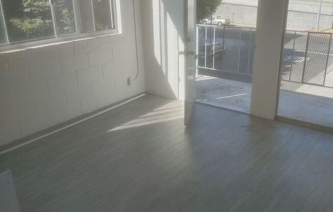 Studio, 1 bath, 204 sqft, $1,250, Unit 30