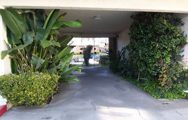 366 - 3002 Magliocco Dr