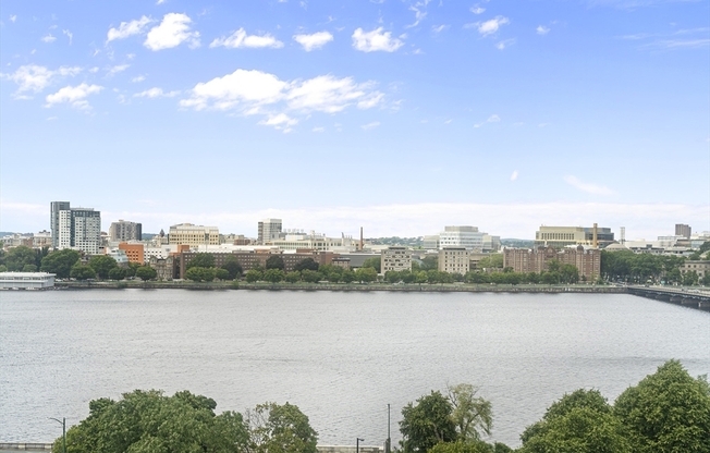 1 bed, 1 bath, 550 sqft, $3,400, Unit 1005