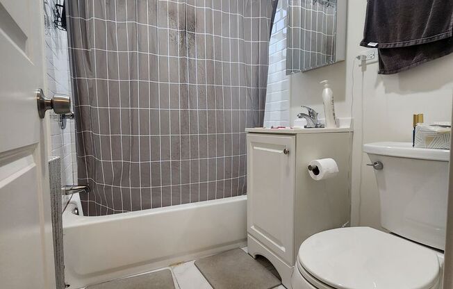 Studio, 1 bath, 450 sqft, $1,495, Unit 002