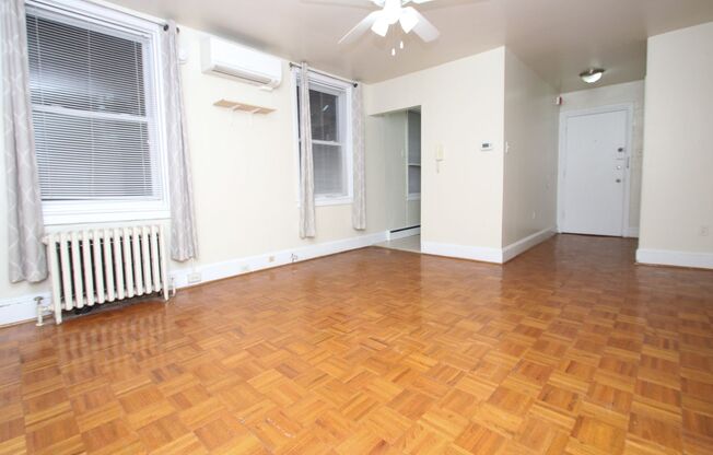 Large 1 BR Located On Historical, Tree Lined Clinton Street! *Available February* *One Month Free*