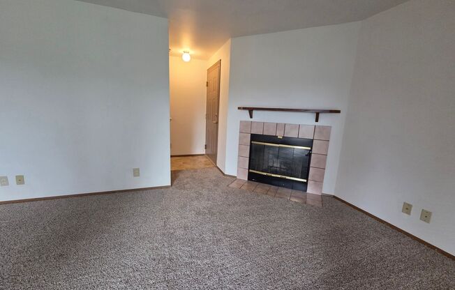 Viking Vista