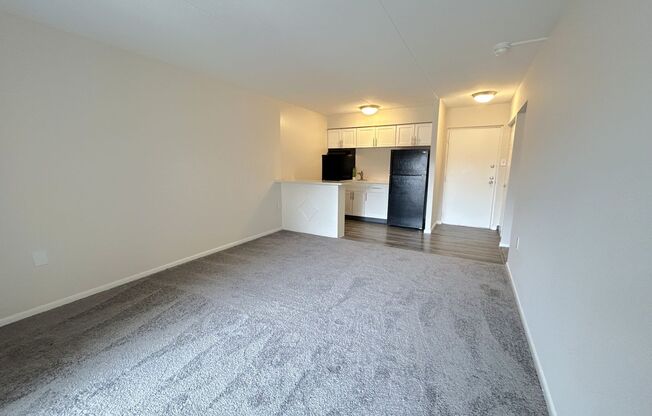 1 bed, 1 bath, 700 sqft, $1,239, Unit 105