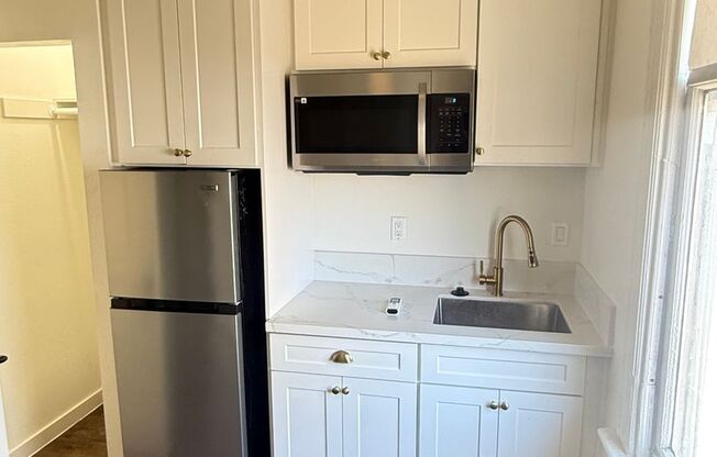 Studio, 1 bath, 166 sqft, $1,500, Unit 317