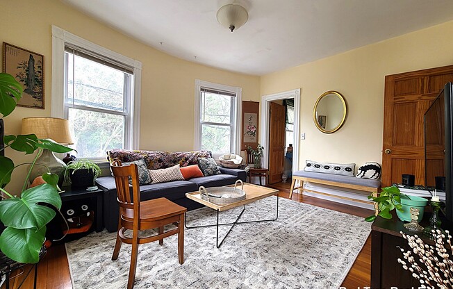 215 Cypress St.