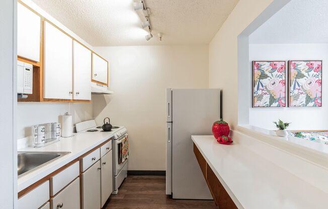 Vivo Living Charlotte University