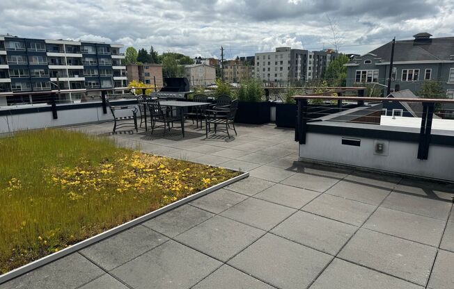 Studio, 1 bath, 245 sqft, $1,495, Unit 301