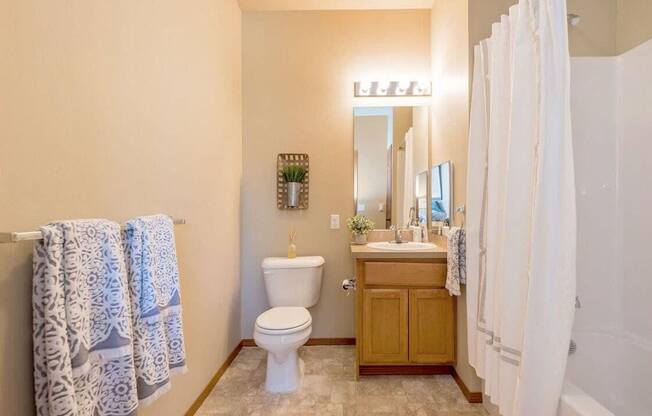 a bathroom with a toilet sink and shower