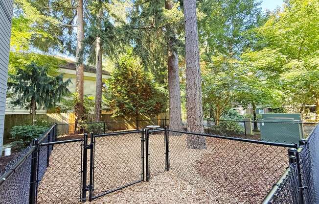 An enclosed dog park at 6Wood Flats Apartments in Lacey, WA.