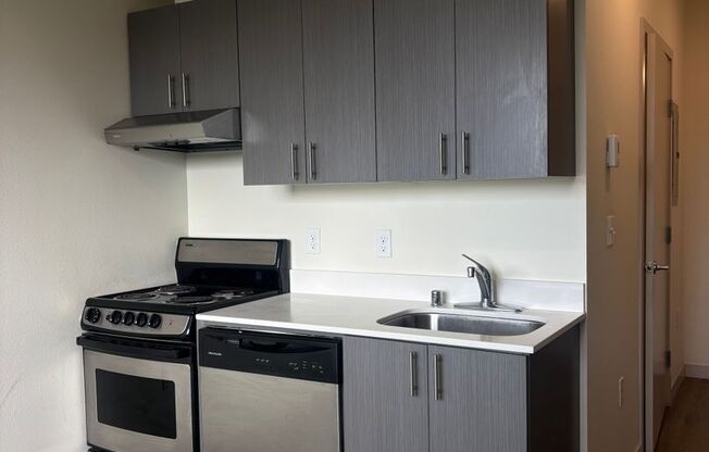 Studio, 1 bath, 312 sqft, $1,295, Unit 414