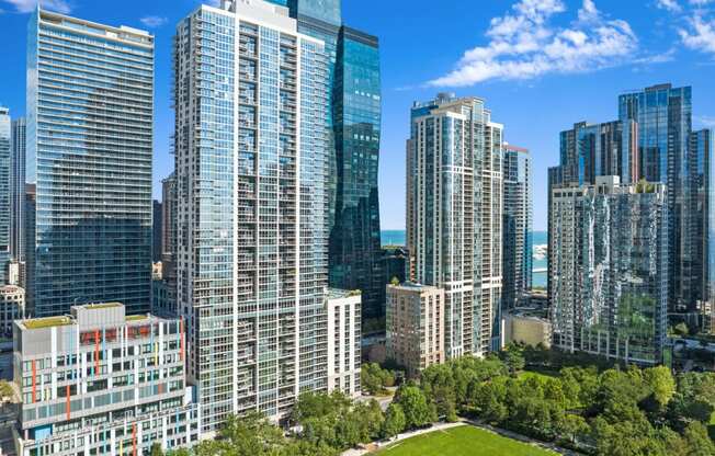 a view of the chicago skyline1 at Shoreham and Tides Apartments, Chicago, IL, 60601