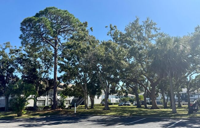 Central Park at East Bay