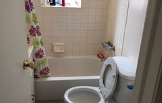 1 bed, 1 bath, 352 sqft, $1,050, Unit 102