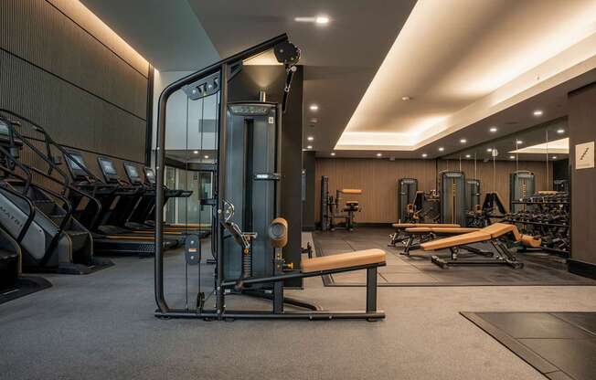 A gym with a variety of equipment including treadmills, weights, and a bench press.