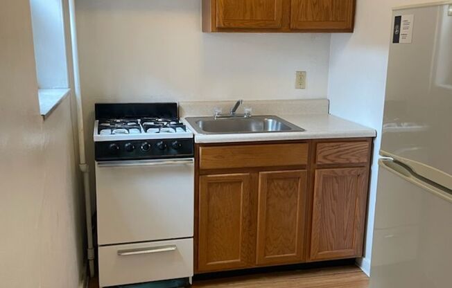 Studio, 1 bath, 487 sqft, $1,275, Unit Fifth 108