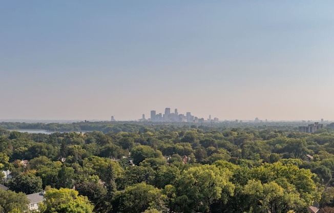 A city skyline is visible in the distance behind a dense forest.