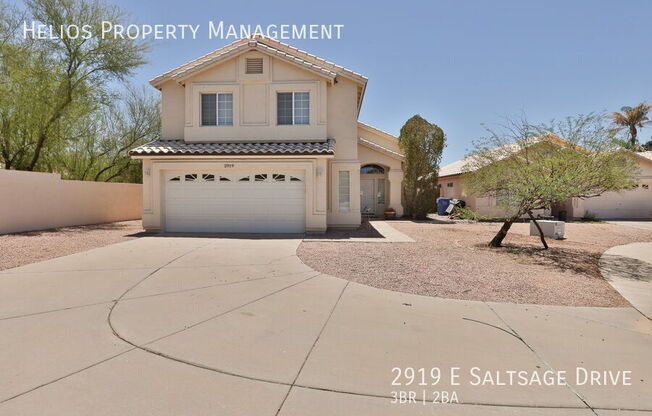 2919 E SALTSAGE DR