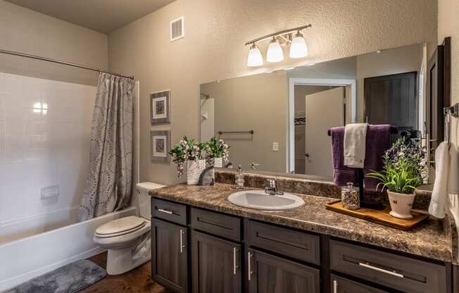 a bathroom with a sink and a toilet