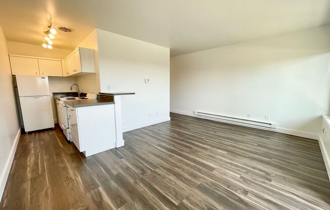 Studio, 1 bath, 370 sqft, $1,325, Unit 307