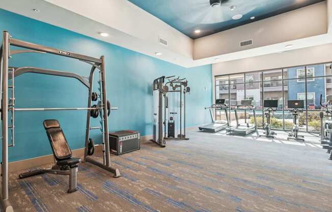 A gym with a variety of equipment including a weight bench, a squat rack, and a treadmill.
