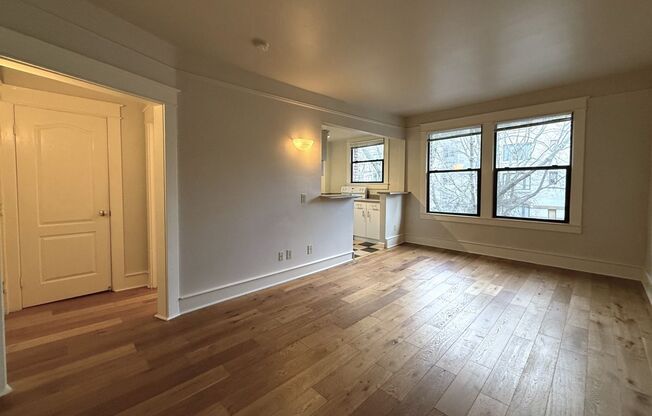 Studio, 1 bath, 405 sqft, $1,150, Unit 304