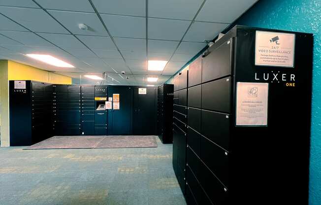 a row of black lockers in a room with a rug on the floor