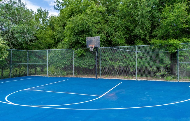 A basketball court surrounded by a fence with trees in the background.