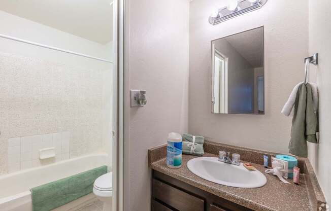 A bathroom with a sink, mirror, toilet, and bathtub.