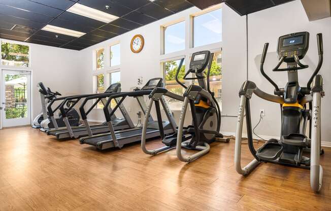 a row of treadmills and elliptical trainers in a fitness room