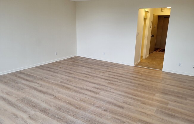 Studio, 1 bath, 500 sqft, $2,500, Unit 1212