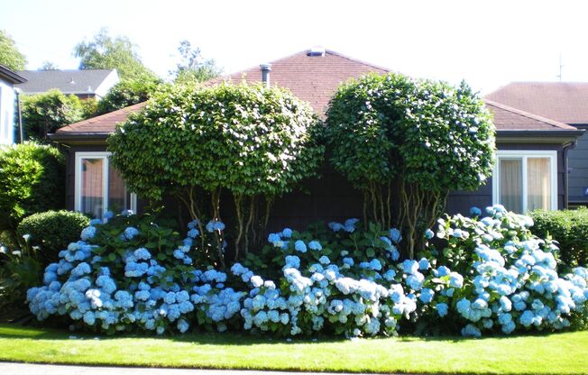 1 bed, 1 bath, 624 sqft, $1,395, Unit A11