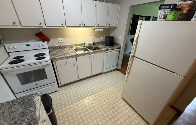 Williamsburg Flats 240