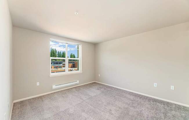 A room with a carpeted floor and a window showing a view of trees and a building outside.