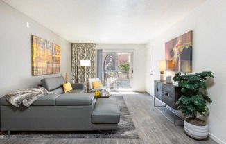 a living room with a gray couch and a tv