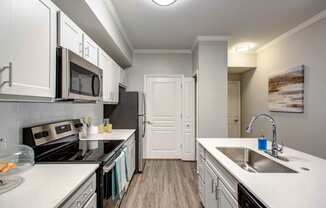 New Luxury Kitchen and Stainless Steel Appliances