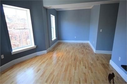 43 E Springfield St 4