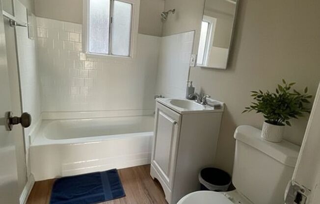 LB0356 (RUBS)  (Imp.)