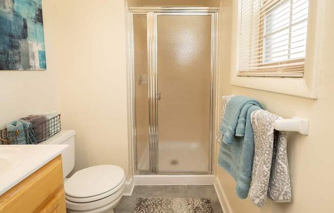 A bathroom with a toilet, sink, and shower.