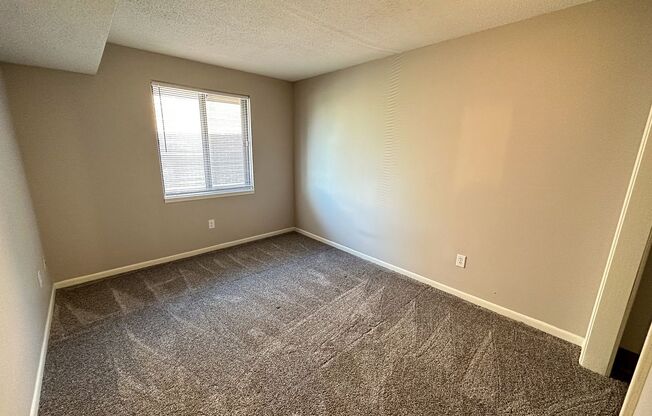 1 bed, 1 bath, $740