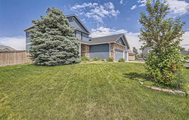 The Perfect Castle Rock Home for Rent