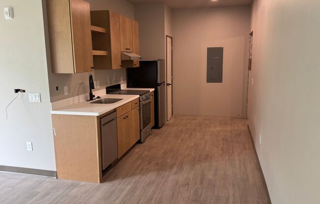 Studio, 1 bath, 458 sqft, $1,225, Unit 103
